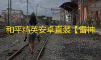 和平精英安卓直装【雷神原加菲猫直装】辅助